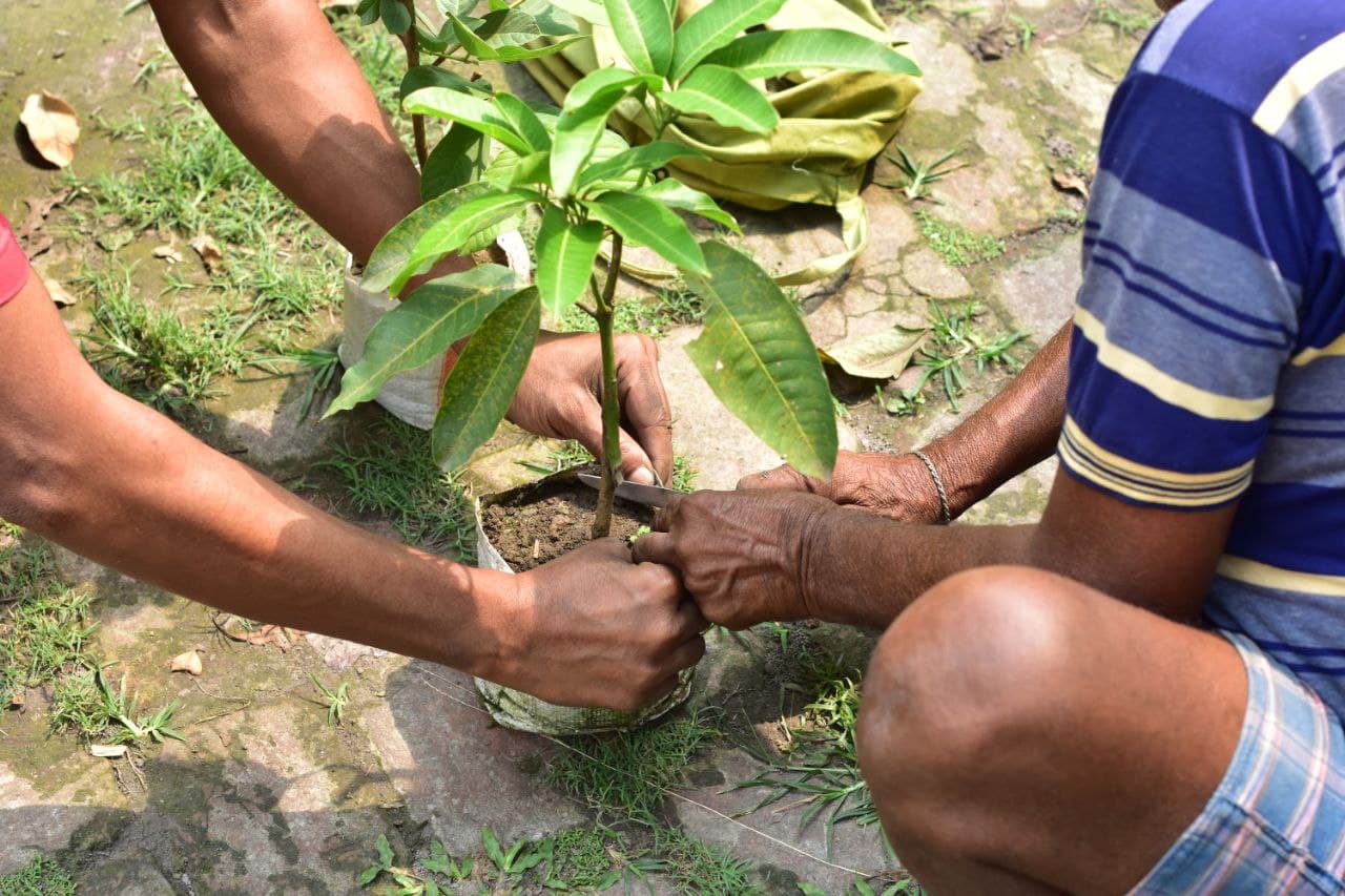 Green Gyan: Sustainability for Everyday Life - Image 1