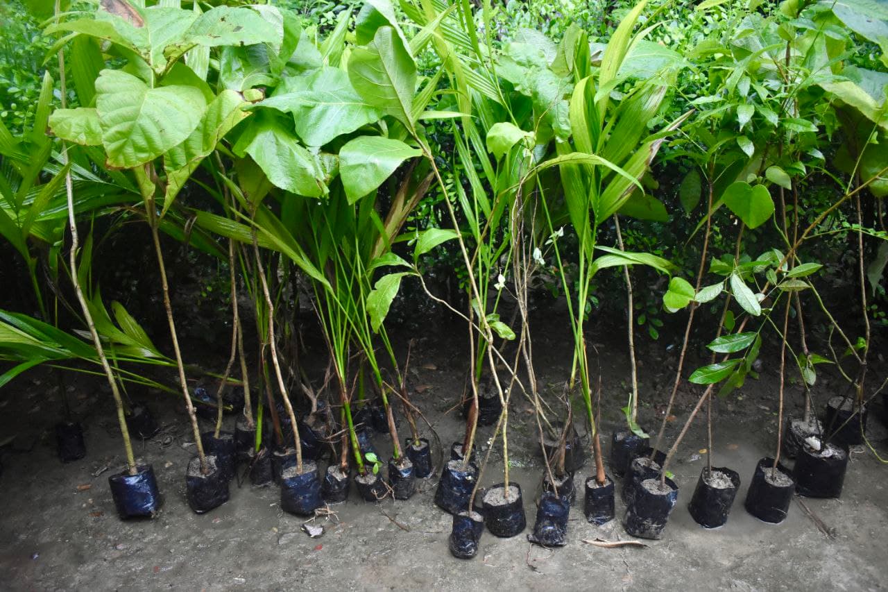 Green Gyan project header